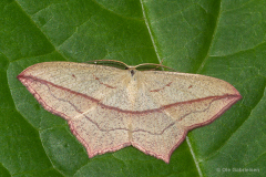 Tåsinge