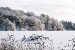 K-01.17.16-Skjoldenaesholm-3-Skjoldenaesholm-17.01.16-Danmark