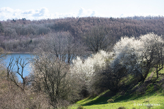 K-DNK-K-03.30.20-3-Maglesoe-Maglesoe-30.03.20-Danmark