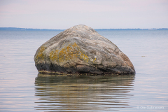 K-DNK-K-07.25.20-2-Lommestenen-Isefjord-Stokkebejrg-Skov-Lommestenen-Isefjord-25.07.20-Danmark