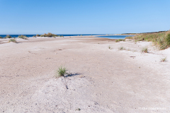 K-DNK-K-09.14.16-Dueodde-4-Dueodde-14.09.16-Danmark