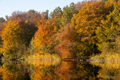 K-DNK-K-10.15.18-6-Avnsoe-Avnsoe-15.10.18-Danmark