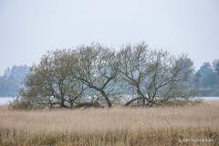 K-DNK-K-10.21.20-1-Tivolisoeen-Tivolisoeen-ved-Haraldstedsoe-21.10.20-Danmark
