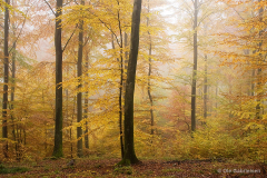 K-DNK-K-10.29.11-Ravnsholt-2-R-2-Raunsholte-29.10.11-Danmark