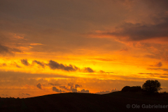 L-3-Solnedgang-3-Hoppeolden-09.09.24-Danmark