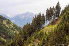 K-AUT-K-05.20.11-Hochalpenstrasse-17-R-Hohe-Tauern-Hochalpenstrase-20.05.11-Oestrig