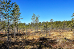 Finland