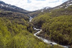 K-NOR-K-06.02.12-2-Laerdal-8-R-Laerdal-02.06.12-Norge