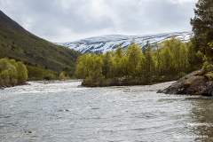 K-NOR-K-06.05.12-Dovre-Fjell-4-Magalaupe-R-Dovre-Fjell-Magalaupe-05.06.12-Norge