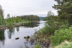 Sverige