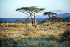 K-KEN-K-01.27.03-4-Samburu-Samburu-27.01.03-Kenya