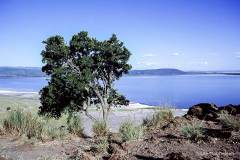 K-KEN-K-01.29.03-2-Lake-Nakuru-Lake-Nakuru-29.01.03-Kenya