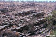 K-NER-K-02.13.02-2-Park-W-Park-W-13.02.02-Niger