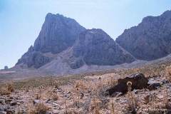 K-TUN-K-07.04.98-3-Jebel-Zaghouan-Jebel-Zaghouan-07.04.98-Tunesien