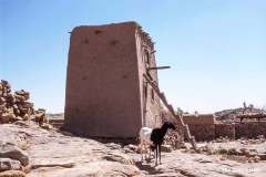 Dogon landsby