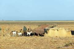 Fulani lejr