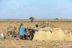 Fulani lejr