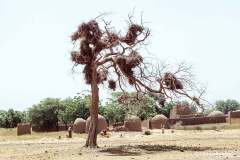 Ner-Niger-2000-50-Salewa-17.10.00-Salewa-oktober-2000