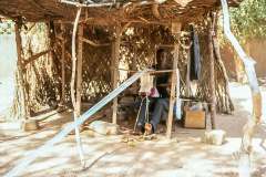 Ner-Niger-2000-69-18.10.00-Vaever-Niger-oktober-2000