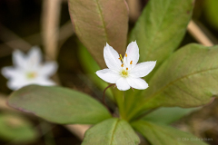 Nord-Trøndelag, Norge
