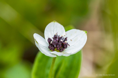 Nord-Trøndelag, Norge